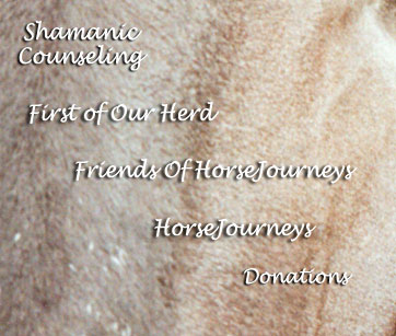 Horses and Shamanism, Counseling, Consulting
