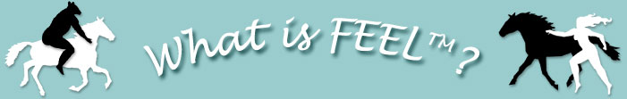 What is FEEL™?