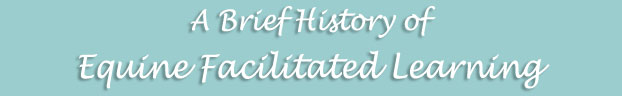 A Brief History of Facilitated Equine Emotional Learning FEEL
